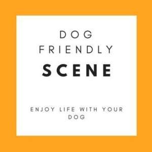 Dog Friendly Scene