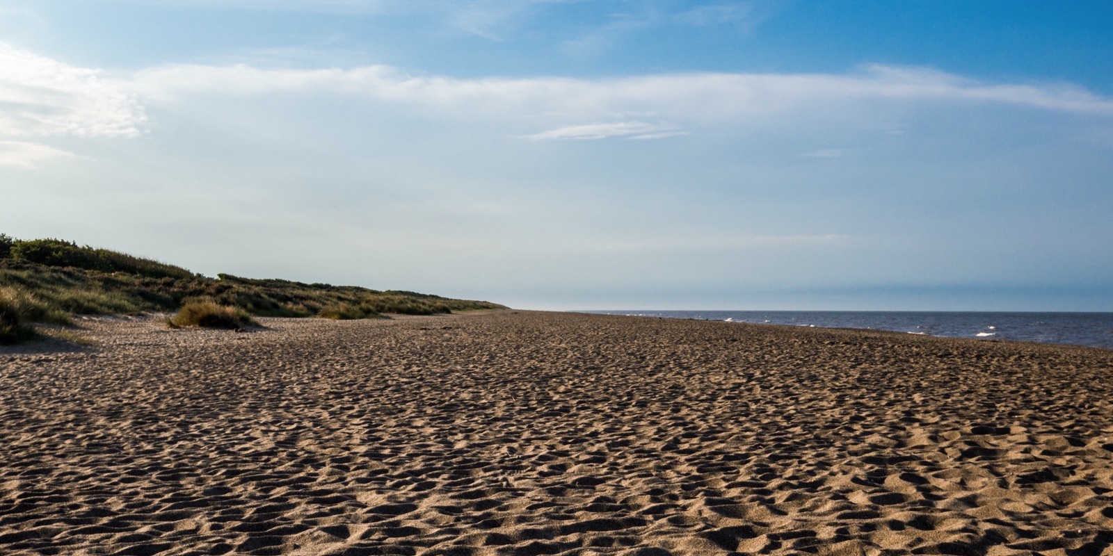 Popular beaches and dog walks by the coast