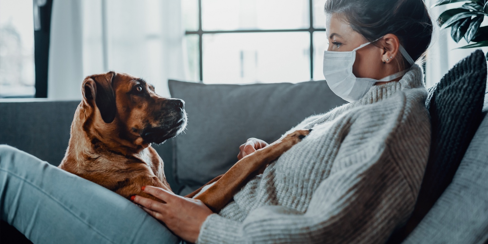 Take part: How the COVID-19 pandemic has effected owner-pet relationships