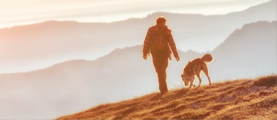 Walking dog on hill