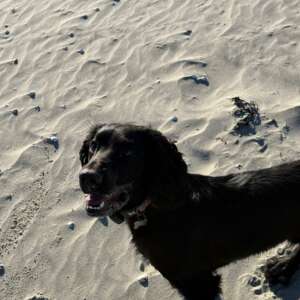 KelseaBrennan profile