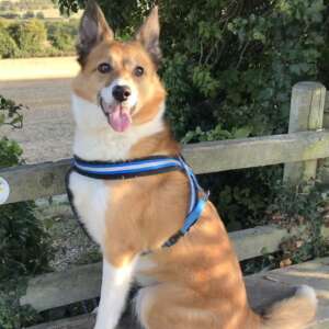 Max25 profile