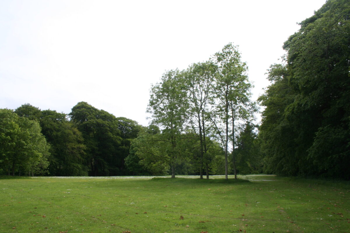 Aden Country Park large photo 2