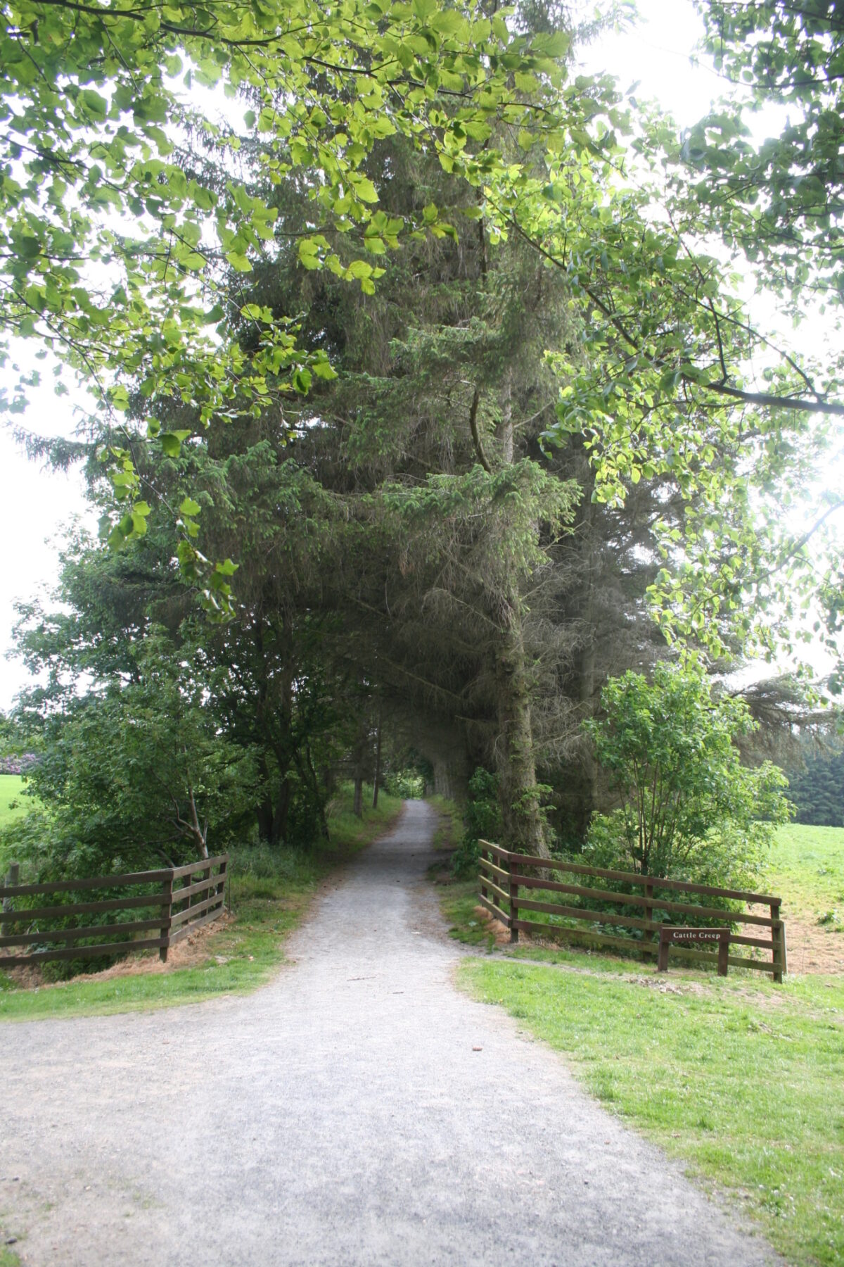 Aden Country Park large photo 1