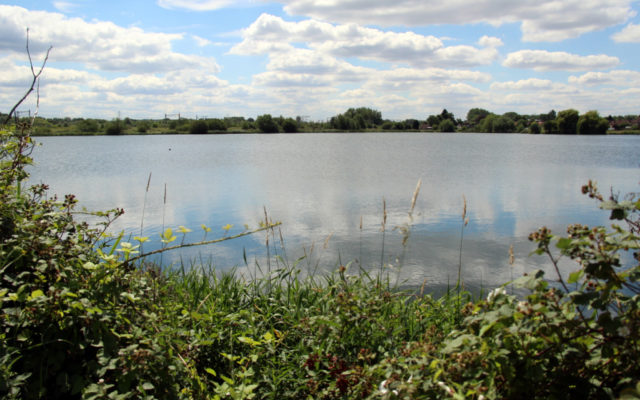 Admiral's Walk Lake Dog walk in Herefordshire