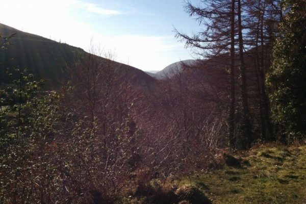 Afan Forest Parkphoto