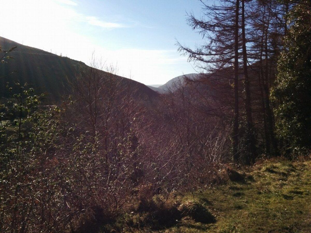 Afan Forest Park large photo 1