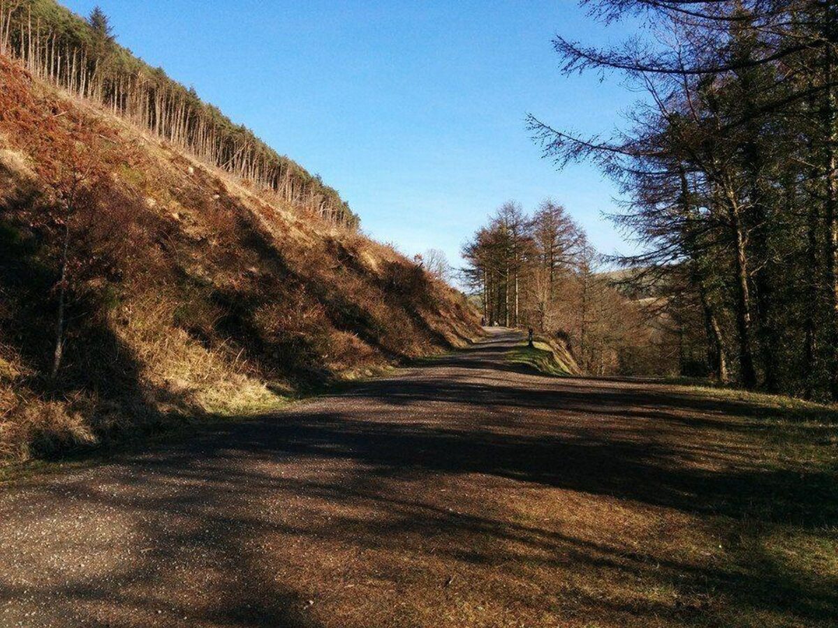 Afan Forest Park large photo 4