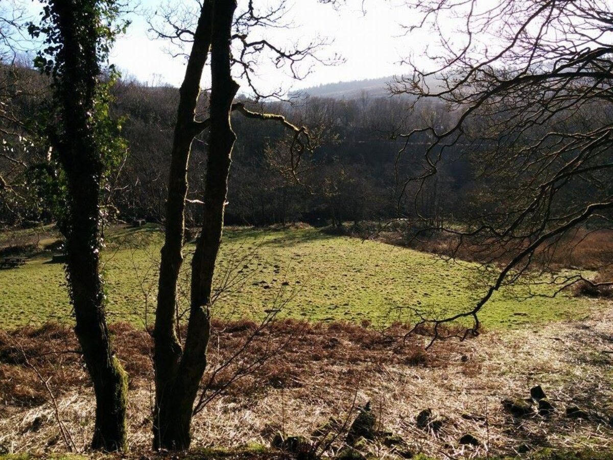 Afan Forest Park large photo 6