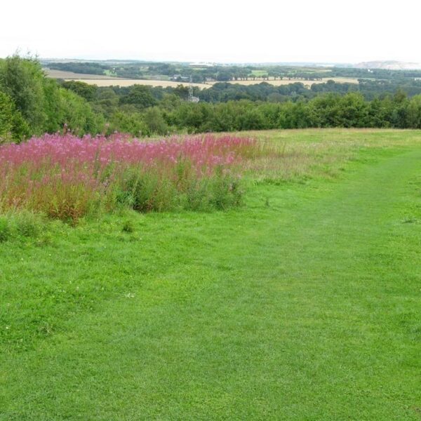 Almondell & Calderwood Country Park photo 3