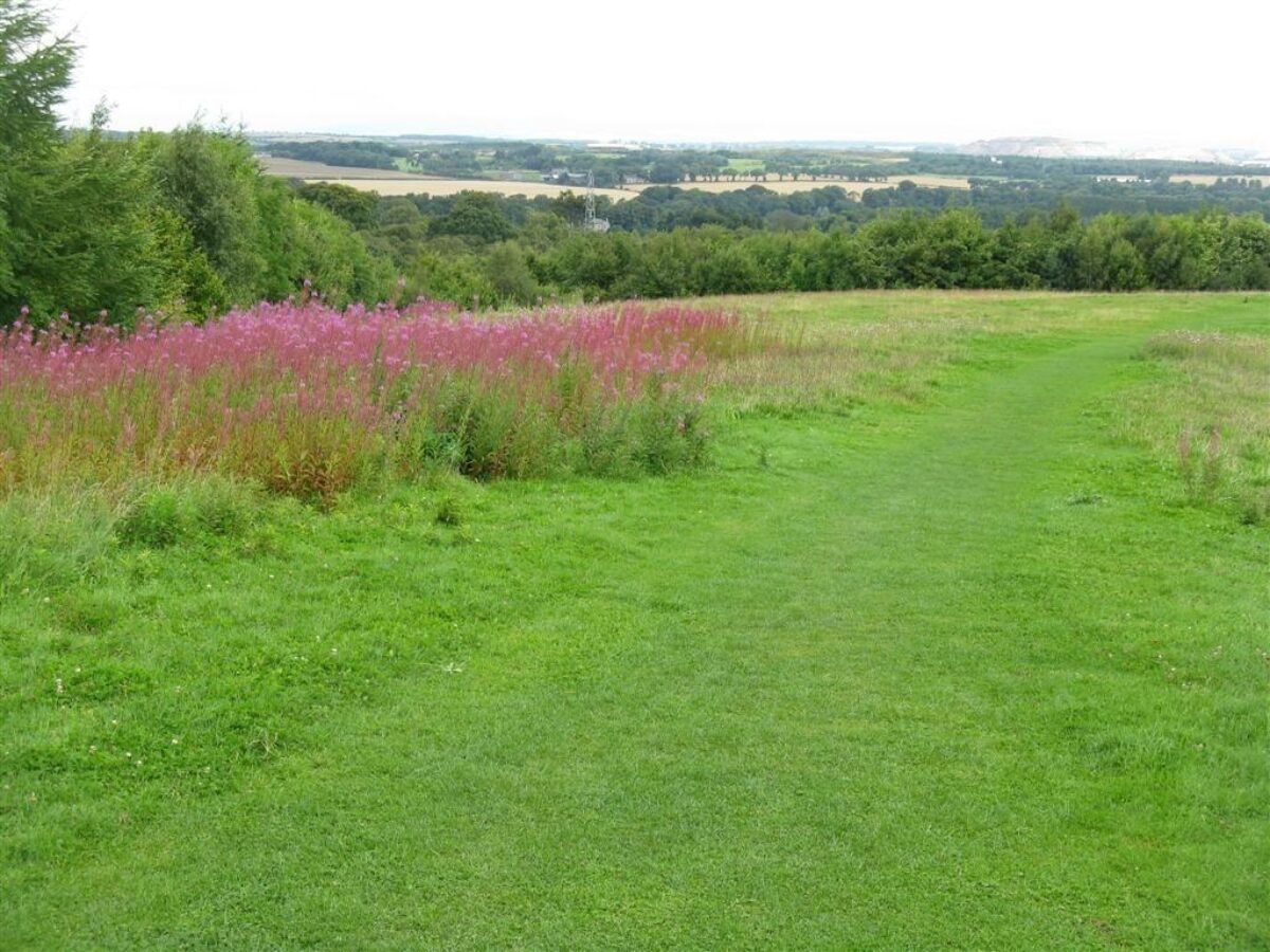 Almondell & Calderwood Country Park large photo 3