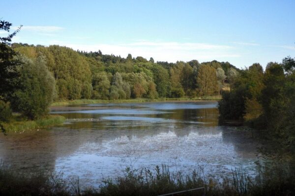 Amwell Nature Reserve & Ash Valleyphoto