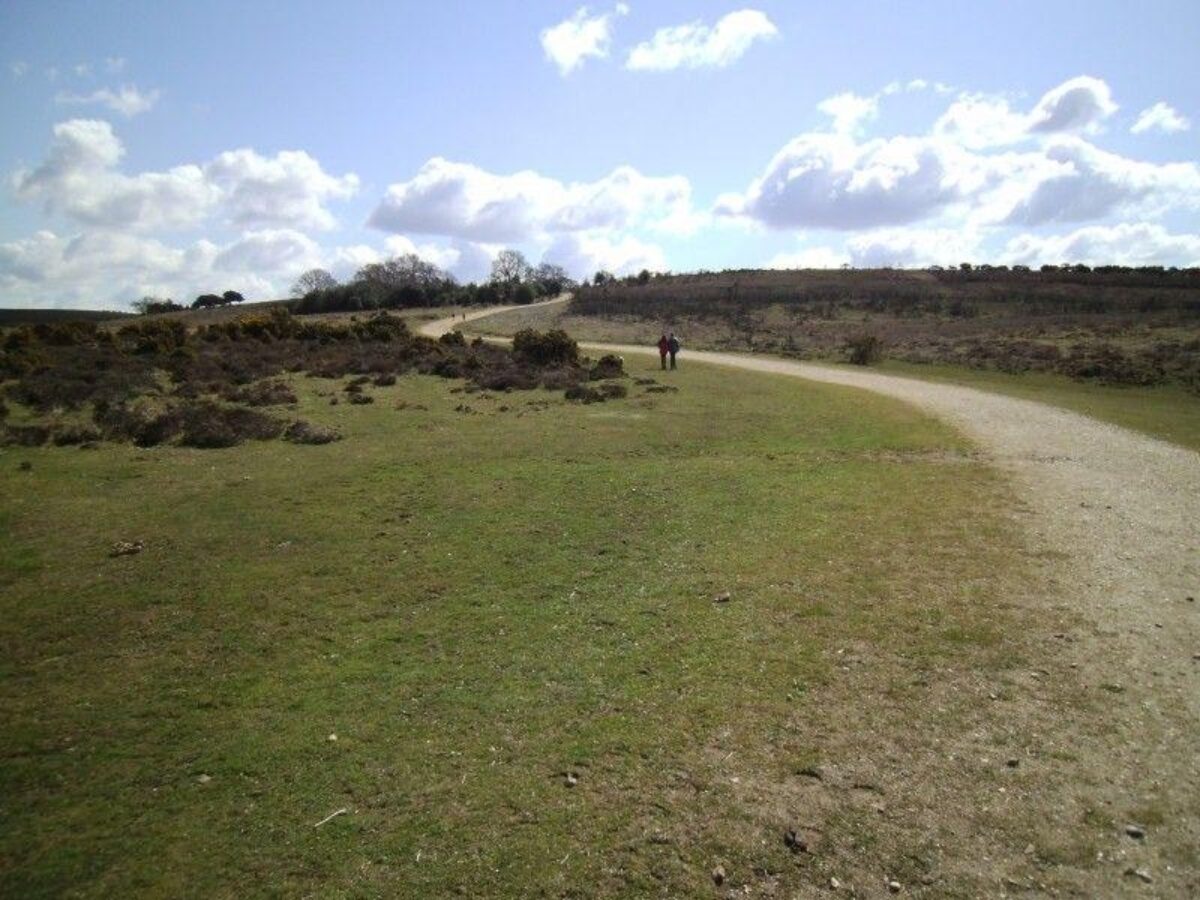 Ashley Walk (New Forest) large photo 3