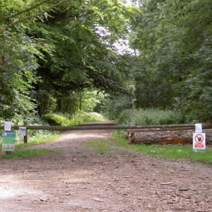 Ashton Hill Woods