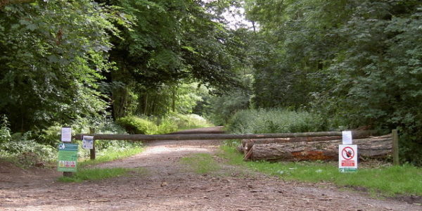 Ashton Hill Woods