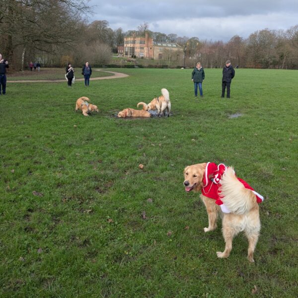 Astley Park photo 4