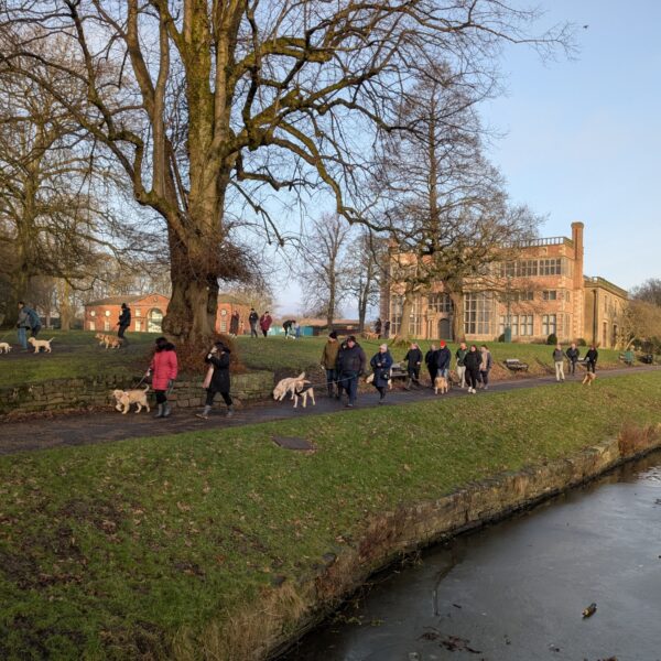 Astley Park photo 7