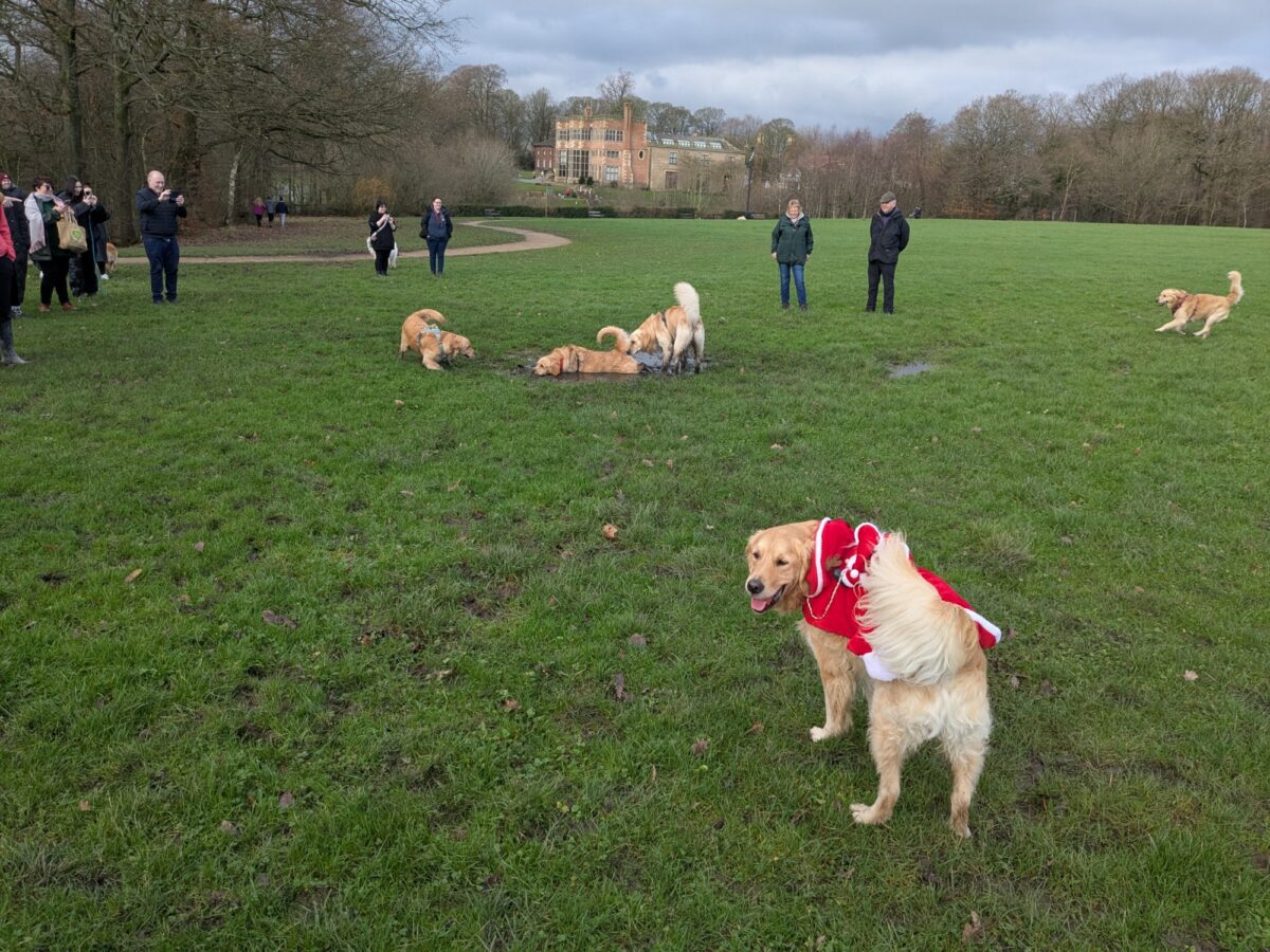 Astley Park large photo 4