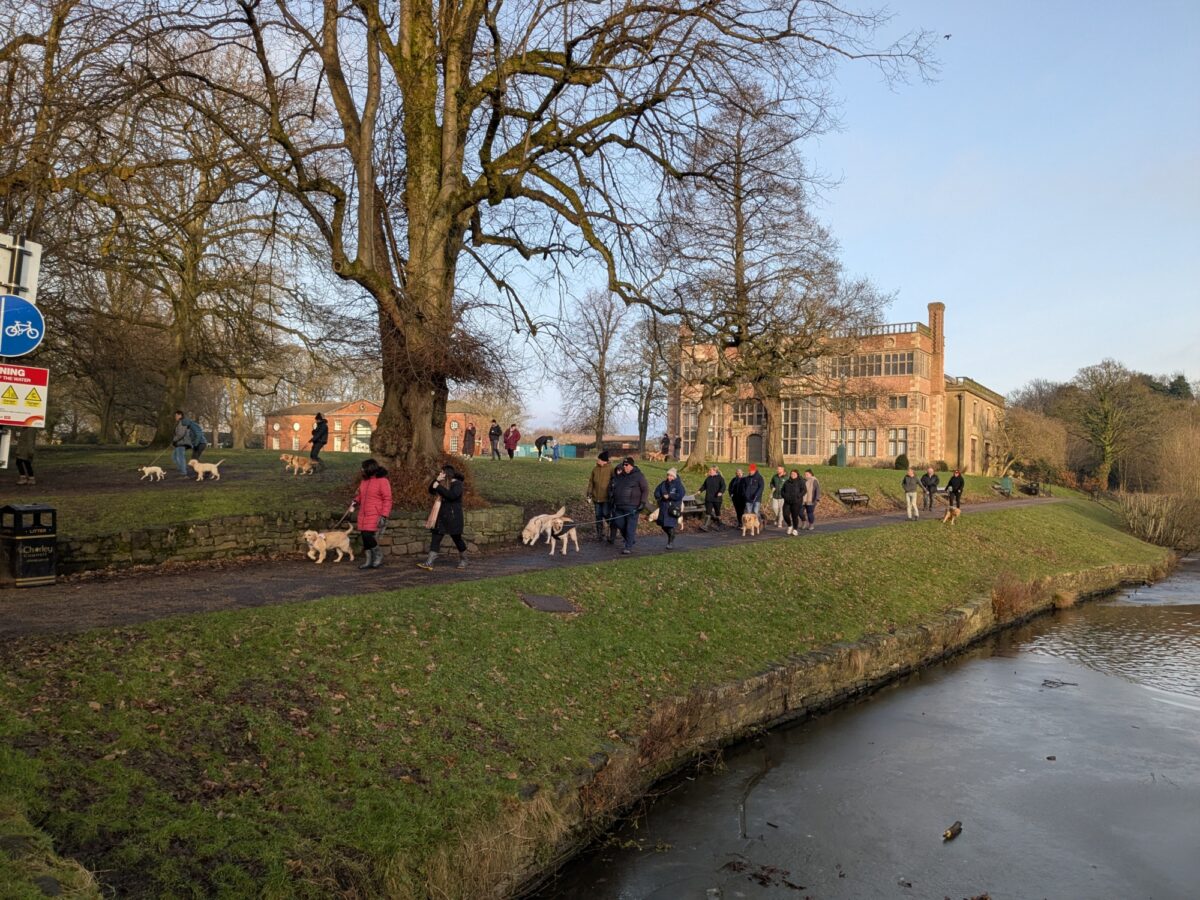 Astley Park large photo 7