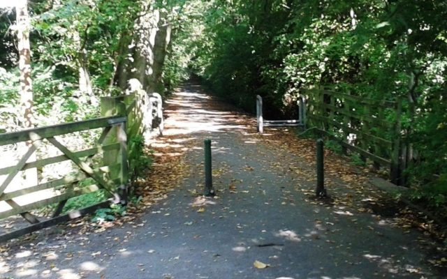 Avenham Valley / Old Tram Road Dog walk in Lancashire