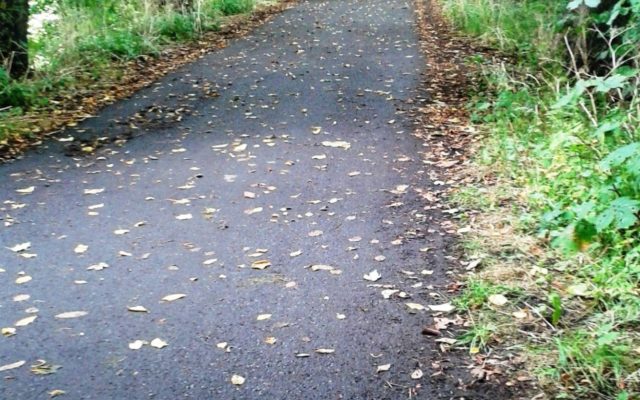 Avenham Valley / Old Tram Road Dog walk in Lancashire