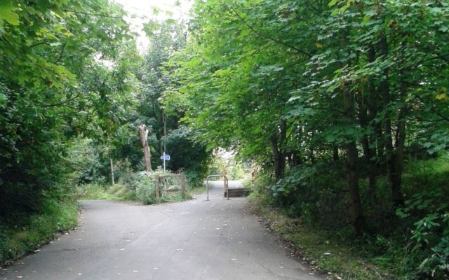 Avenham Valley / Old Tram Road Dog walk in Lancashire