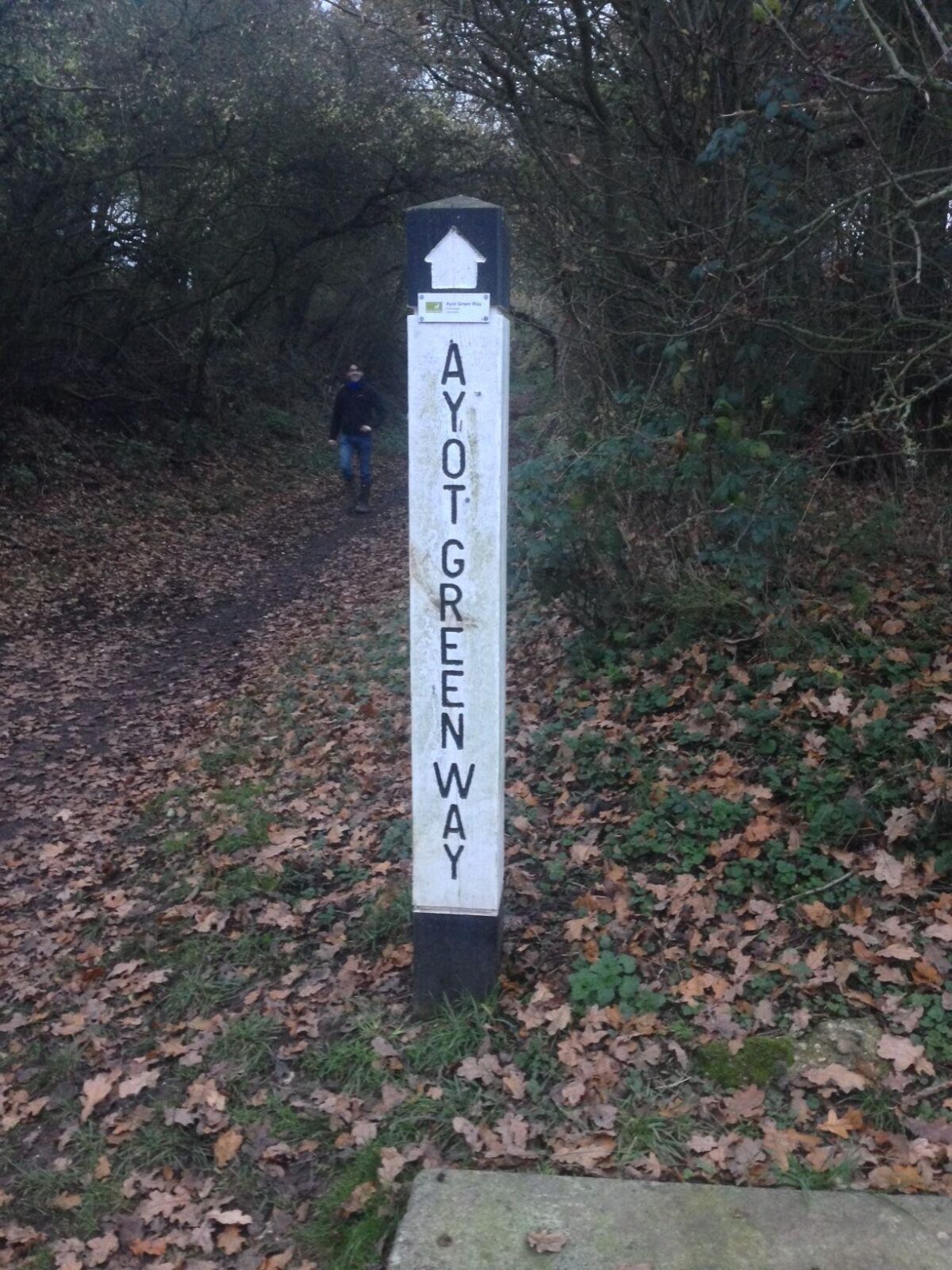 Ayot Greenway large photo 2