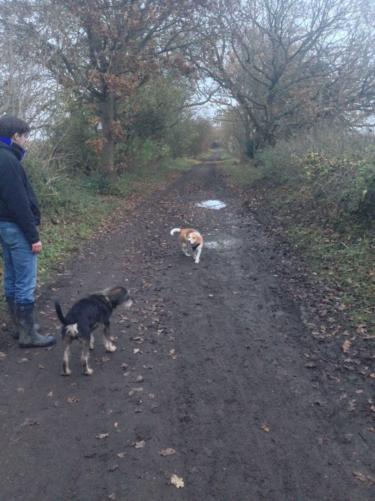 Ayot Greenway large photo 6