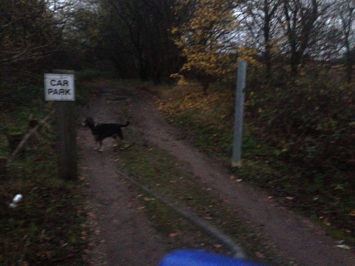 Ayot Greenway large photo 9