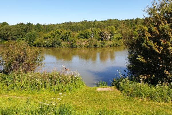 Bagworth Heath Woodsphoto