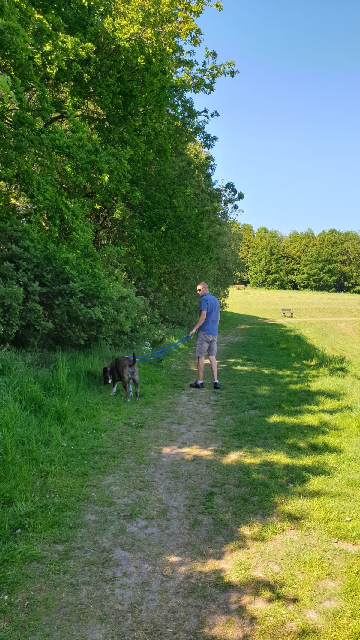 Bagworth Heath Woods large photo 2