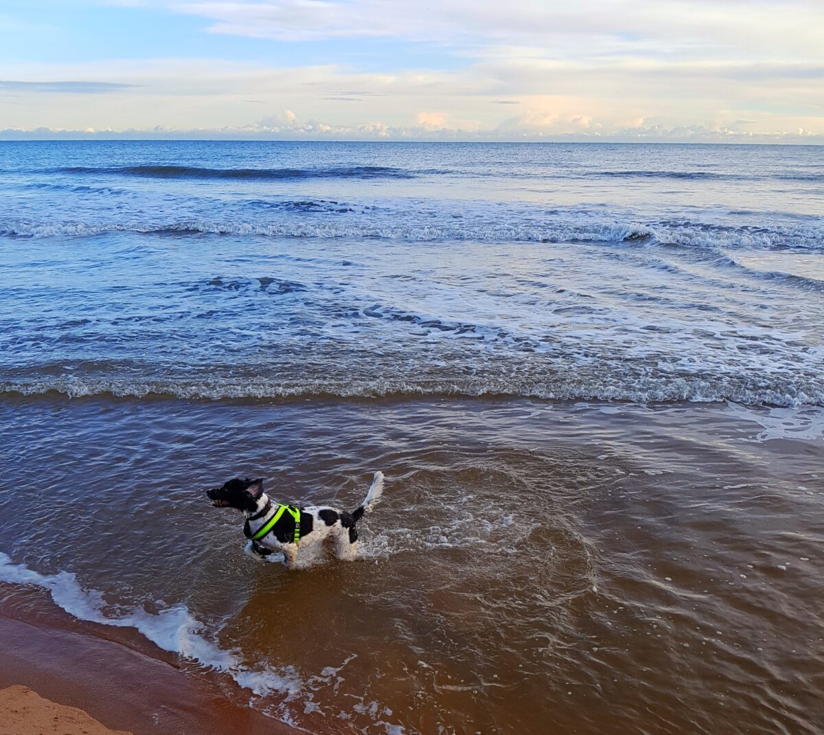 Balmedie Beach large photo 3