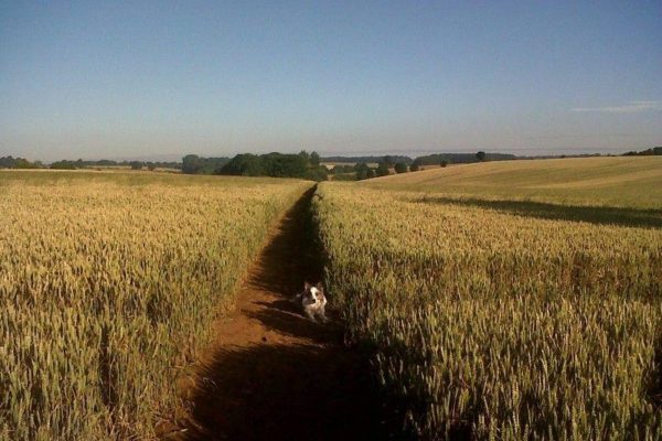 Banbury To Drayton Fieldsphoto