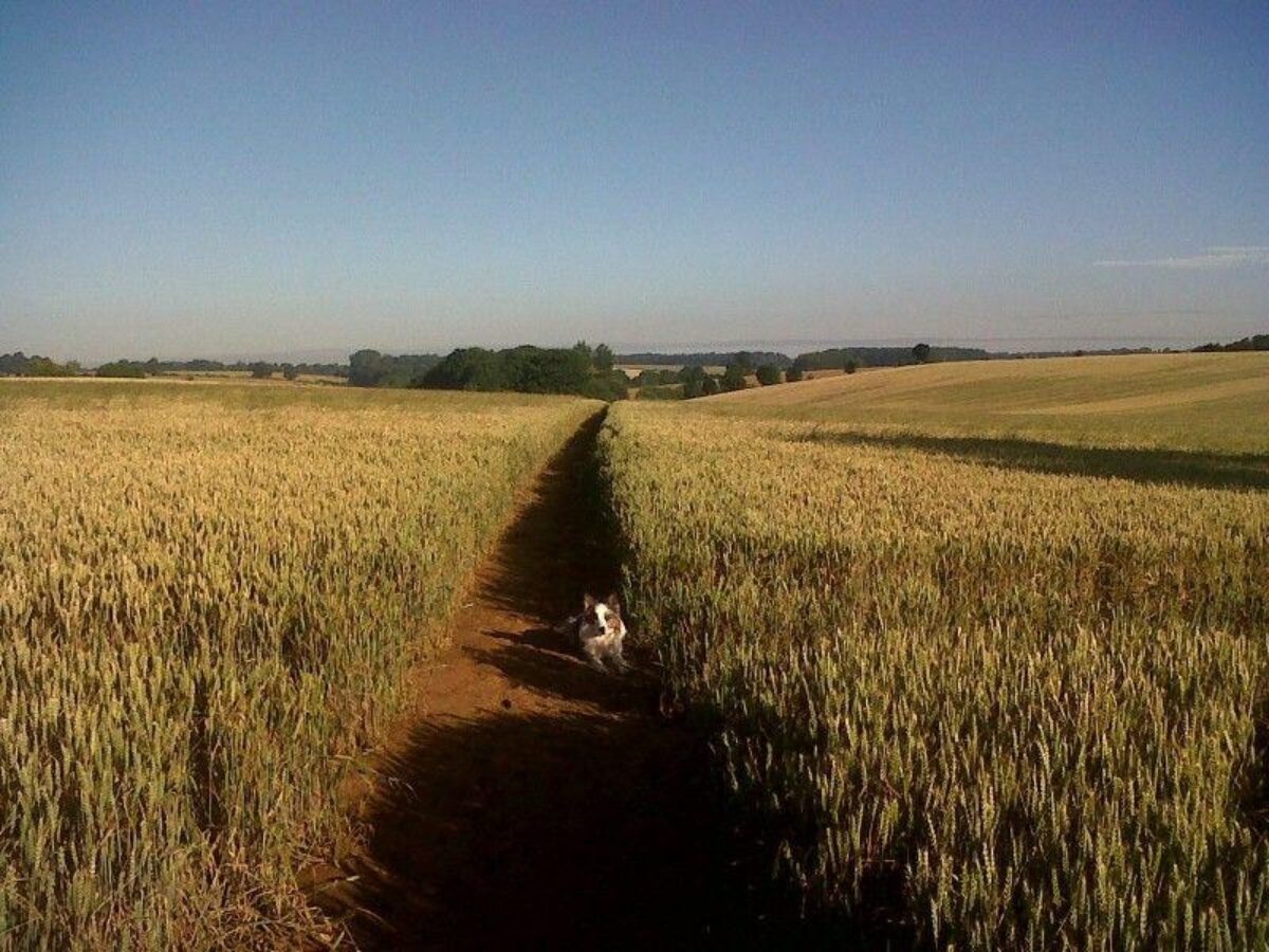 Banbury To Drayton Fields large photo 1