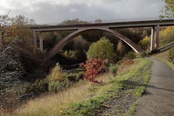 Bargoed Woodland Parkphoto