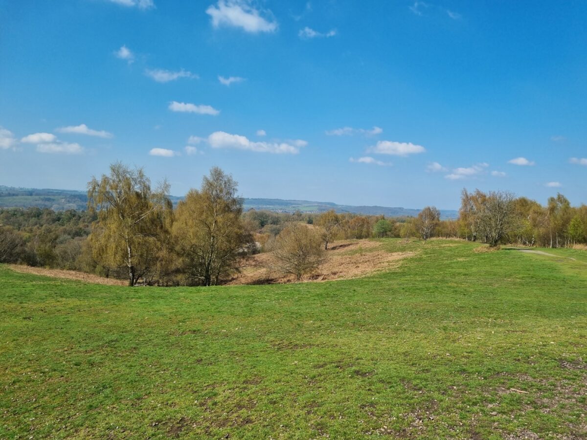 Barlaston Downs large photo 1