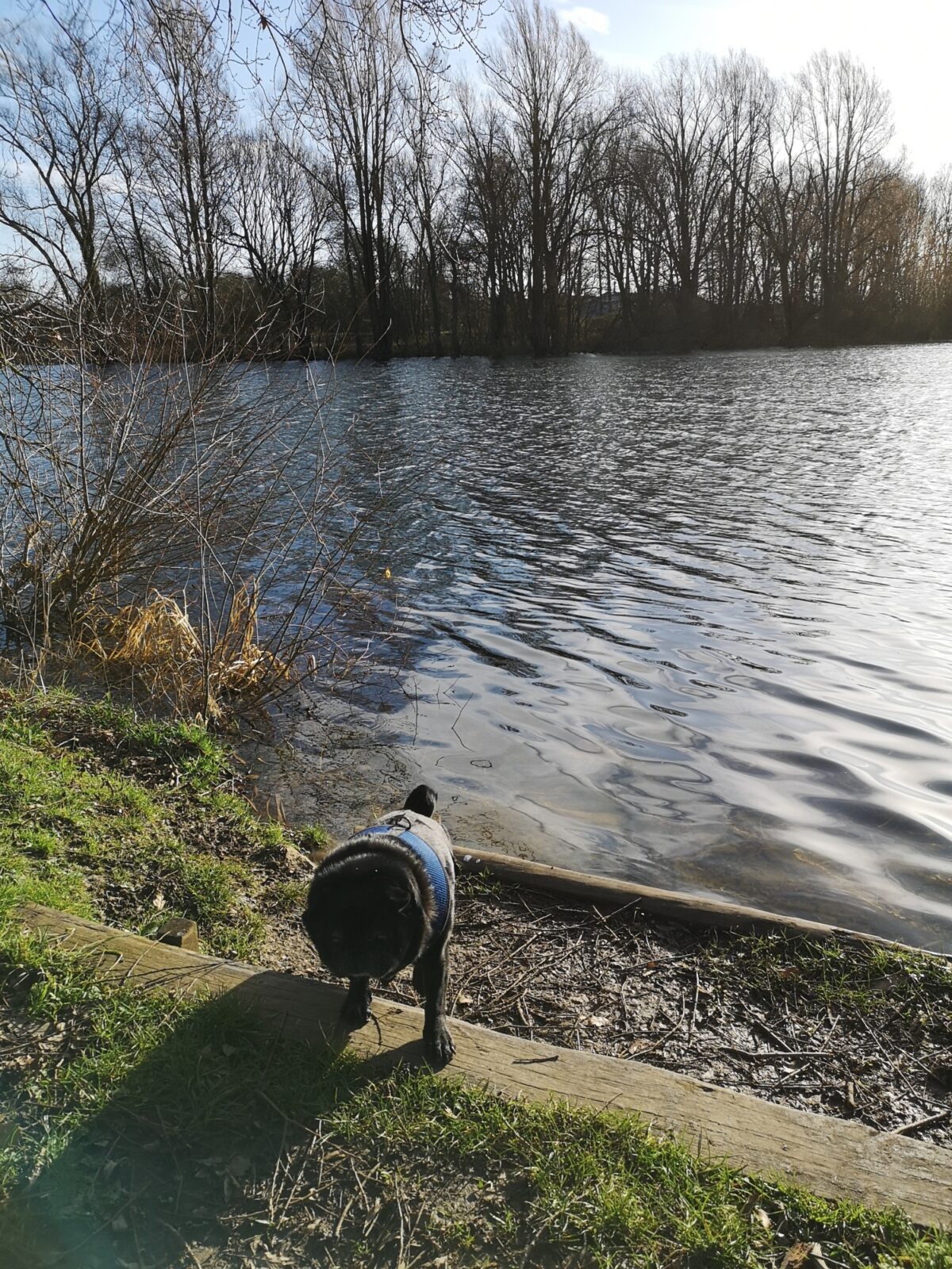 Barnwell Country Park large photo 1