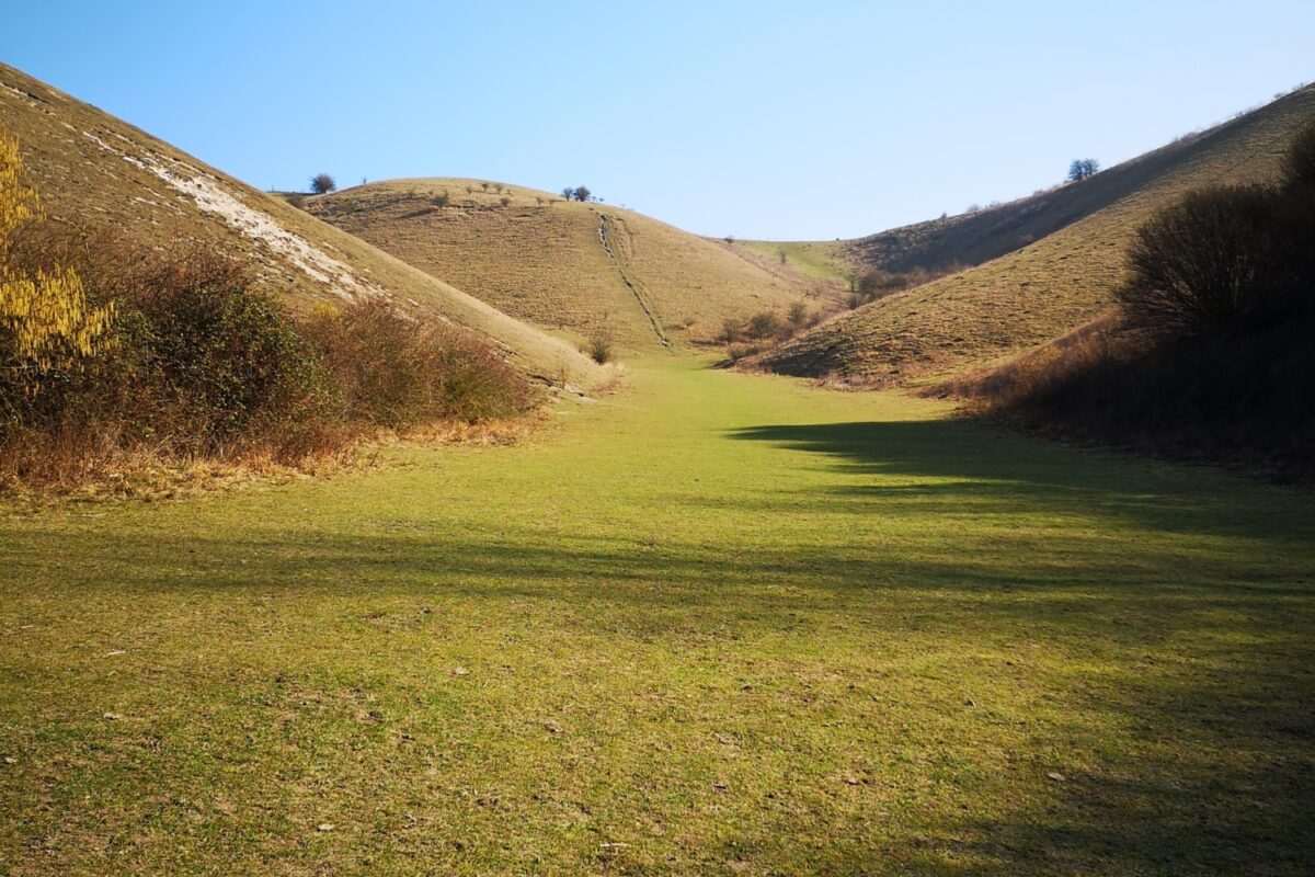 Dog walk at Barton Hills Nature Reserve · Bedfordshire · Walkiees