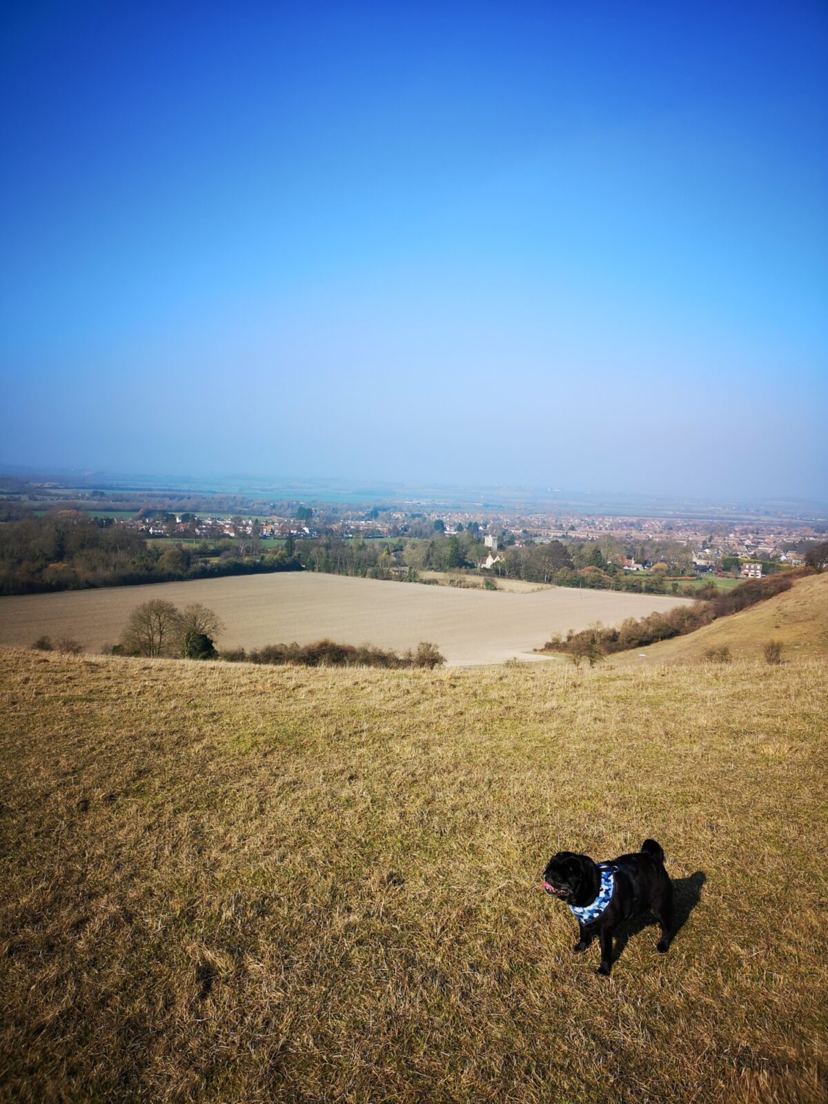 Barton Hills Nature Reserve large photo 3