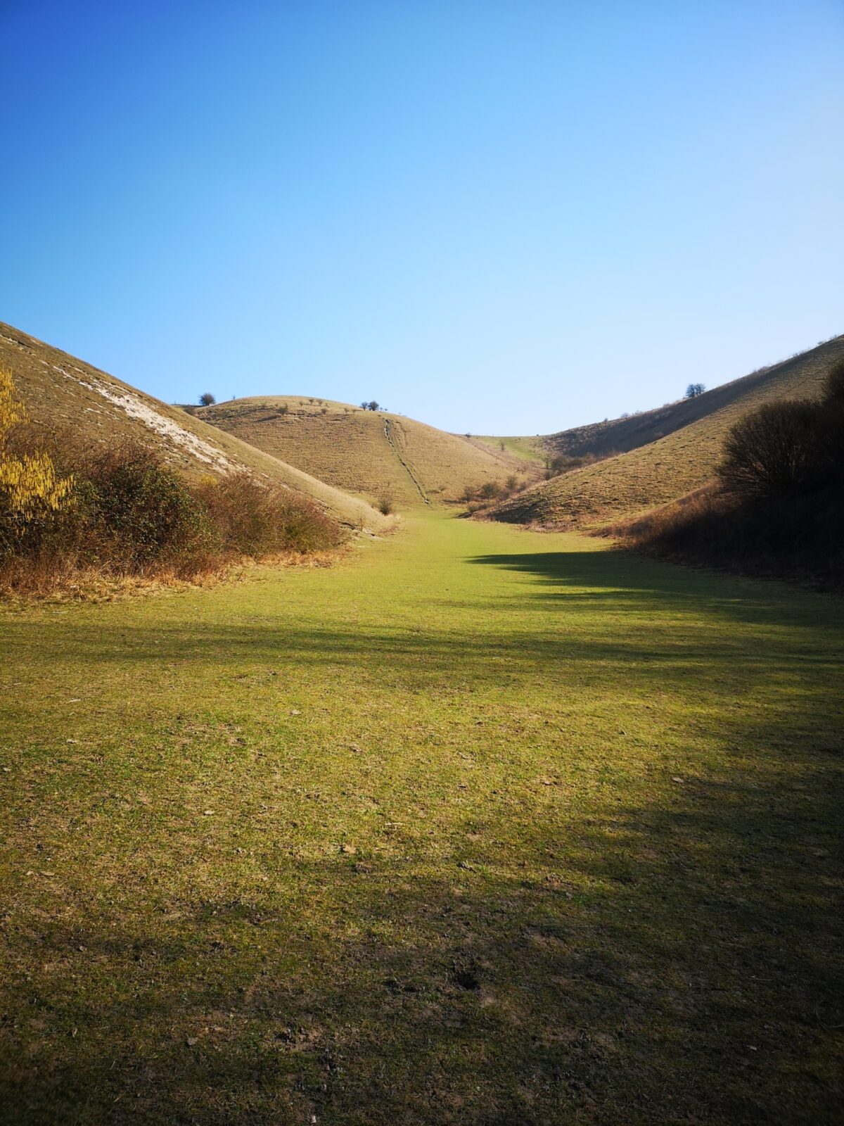 Barton Hills Nature Reserve large photo 1