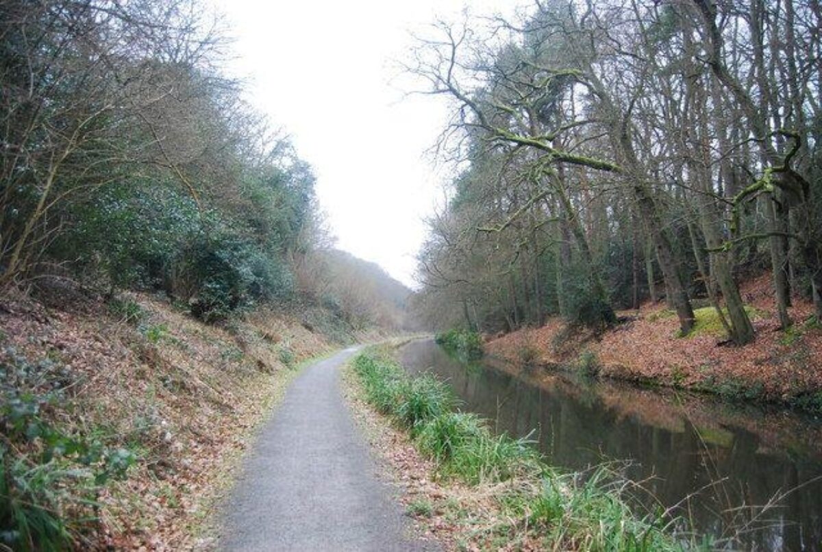 Basingstoke Canal - Frimley (& Deepcut) large photo 1