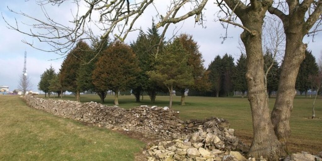 Dog walk at Bath Racecourse · Avon · Walkiees