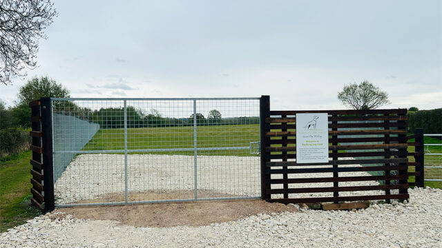 Dog walk at Baulking Dog Field