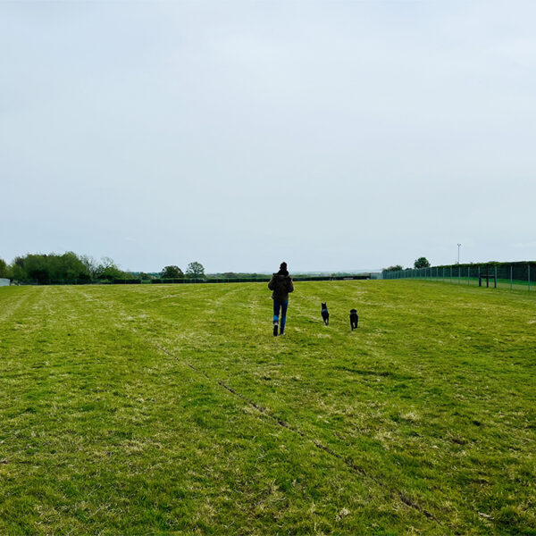 Baulking Dog Field photo 5