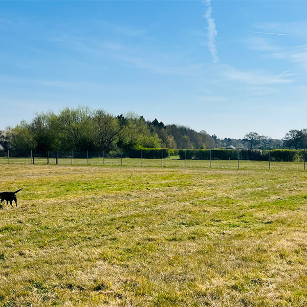 Baulking Dog Field photo 4