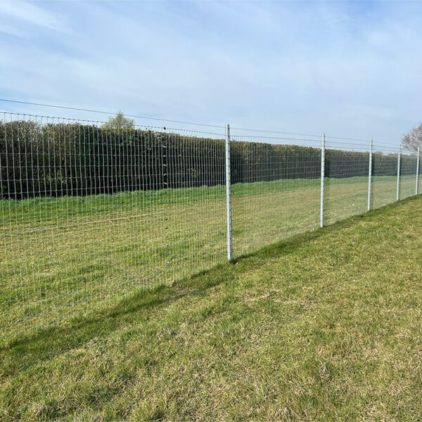 Baulking Dog Field photo 2