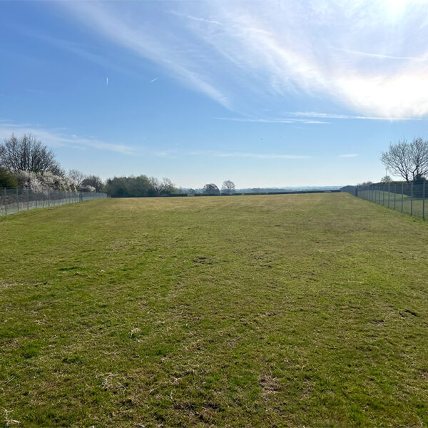 Baulking Dog Field photo 3
