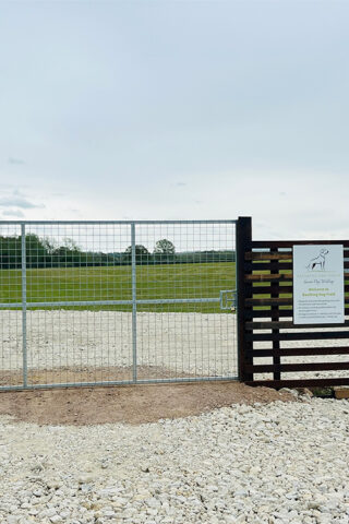 Dog walk at Baulking Dog Field photo