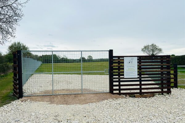 Baulking Dog Fieldphoto