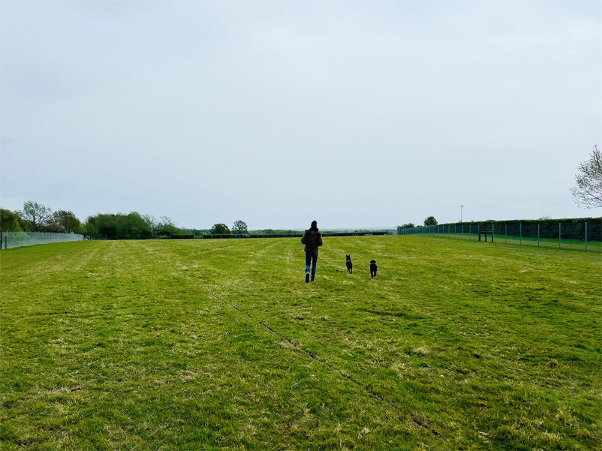 Baulking Dog Field large photo 5 Baulking Dog Field large photo 5
